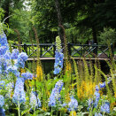 Large beds with Perennials are to be found many places in the park. Here they surround the Ice Pond with its small wooden footbridge. Photo: Liv Osmundsen, the Royal Court